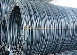 ��������o�a�����